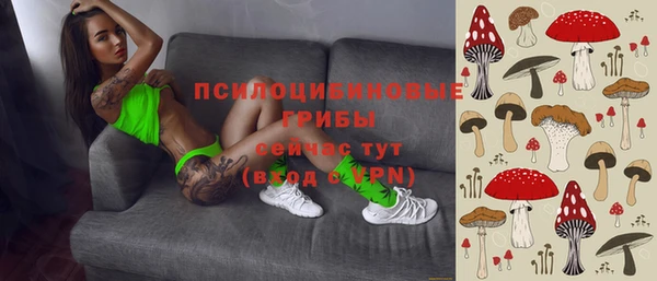 эйфоретик Арсеньев