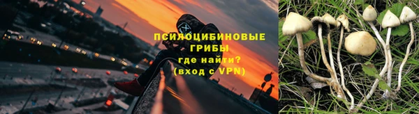 эйфоретик Арсеньев