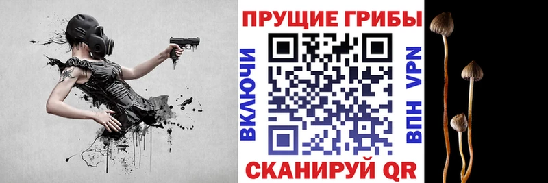 mega маркетплейс  Избербаш  Галлюциногенные грибы мухоморы  где можно купить наркотик 